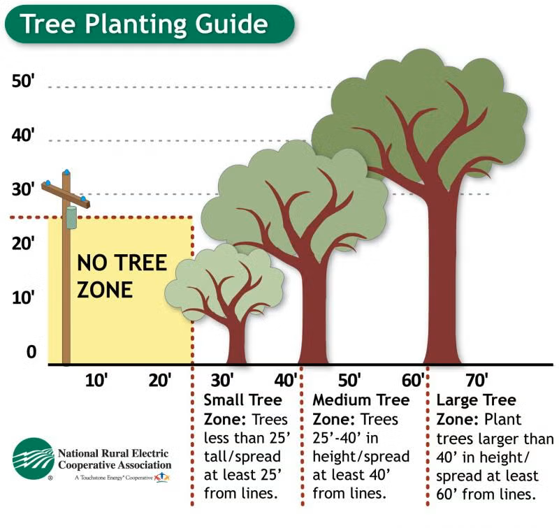 Tree Zones