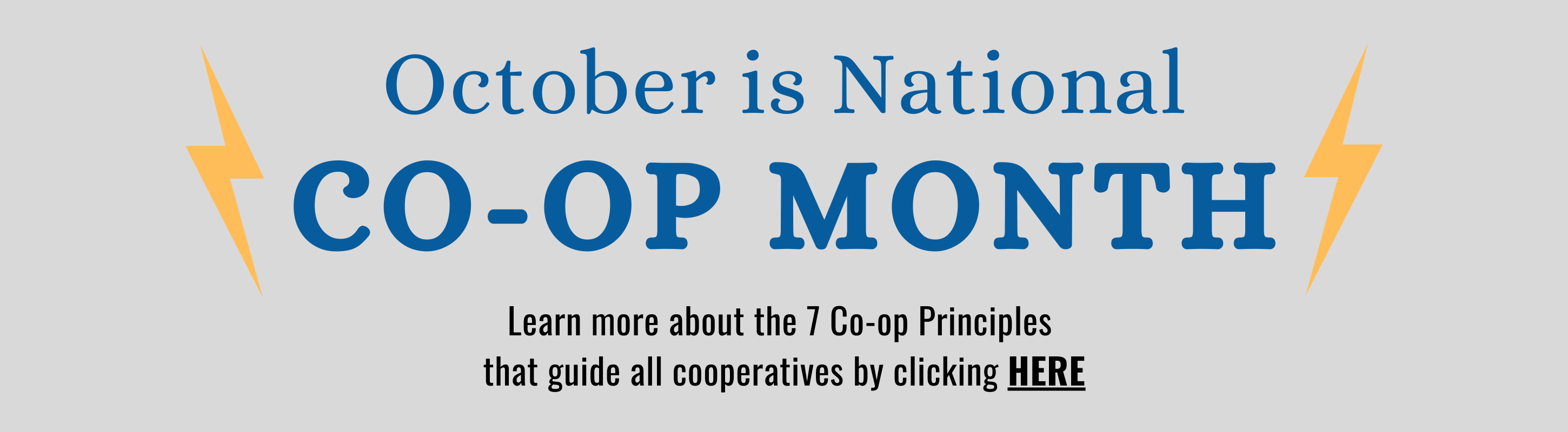 National Co-op Month