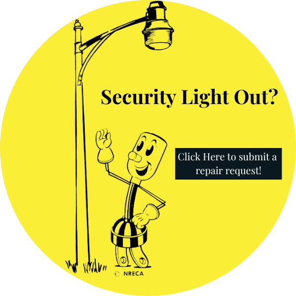 Security Light