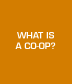 what is a co-op
