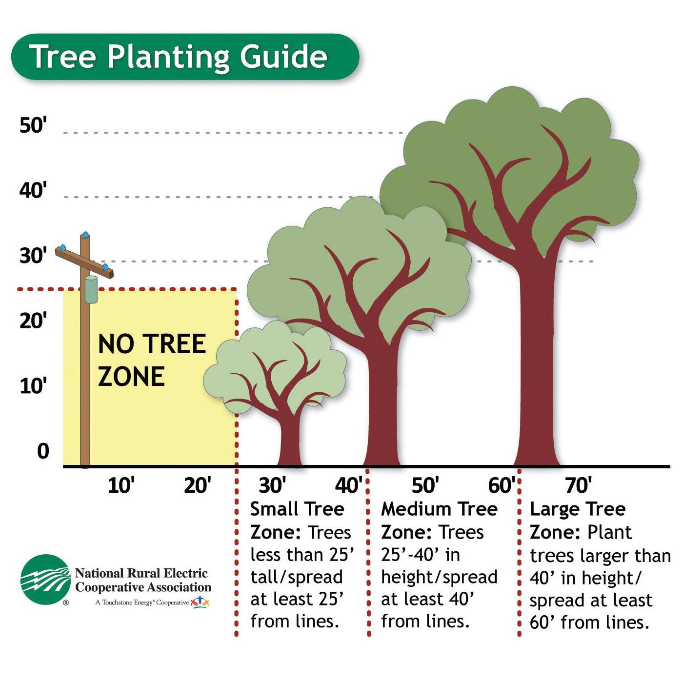 Tree planting guide