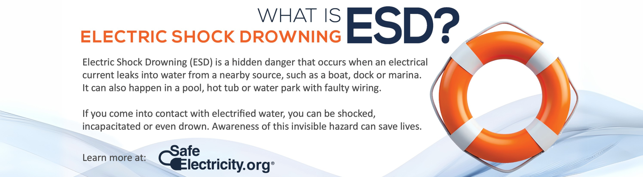 Electric Shock Drowning